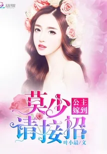 《公主嫁到之莫少太傲娇》小说封面