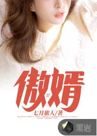《傲婿》小说封面