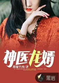 《神医龙婿》小说封面