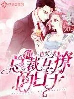 《和总裁互撩的日子》小说封面