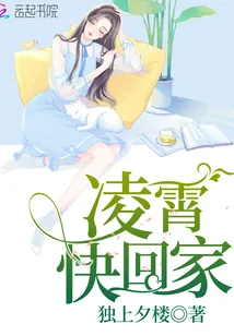 《凌霄快回家》小说封面