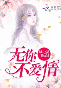 《无你不爱情》小说封面