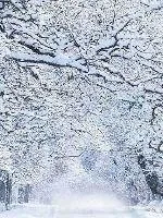《琐明恋》小说封面