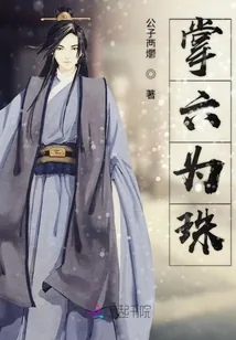 《掌六为珠》小说封面