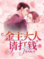 《金主大人请打钱》小说封面
