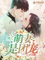 《萌妻是团宠》小说封面