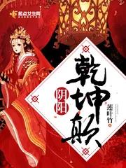 《阴阳乾坤颠》小说封面