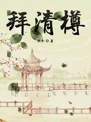 《拜清樽》小说封面