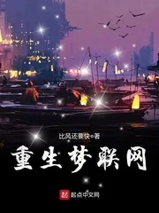《重生梦联网》小说封面