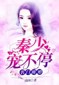 《名门暖婚:秦少宠不停》小说封面