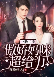 《一胎二宝:傲娇妈咪超给力》小说封面