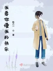 《我要你懂我的快乐》小说封面