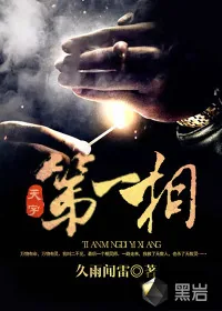 《天字第一相》小说封面