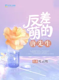 《反差萌的唐先生》小说封面