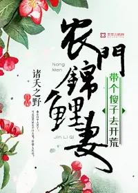 《农门锦鲤妻：带个傻子去开荒》小说封面