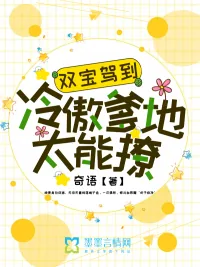 《双宝驾到：冷傲爹地太能撩》小说封面
