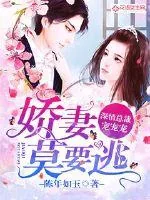 《爱妻莫要逃:深情总裁宠宠宠》小说封面