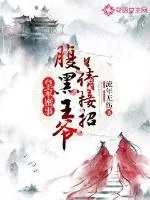 《皇家密事：腹黑王爷请接招》小说封面