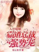 《入骨暖婚:霸道总裁强势宠》小说封面