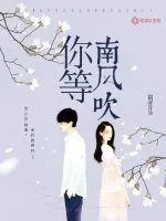 《你等南风吹》小说封面