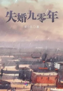 《失婚九零年》小说封面