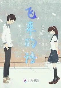 《飞来的语》小说封面