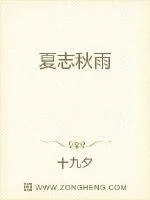 《夏至秋雨》小说封面