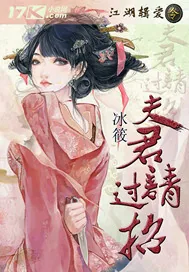 《江湖缉爱令：夫君，请过招》小说封面