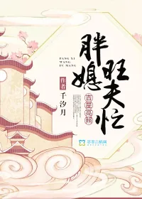 《吉星高照:胖媳旺夫忙》小说封面