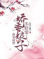 《将军接招:娇蛮娘子不好宠》小说封面