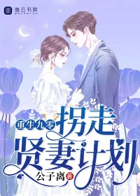 《重生九零，拐走贤妻计划》小说封面