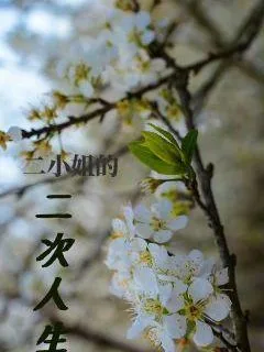 《医妻难求：世子娶亲吗》小说封面