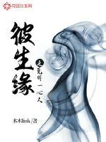 《彼生缘》小说封面