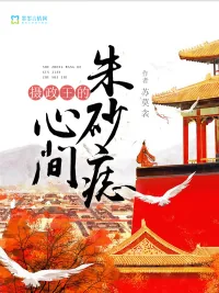 《摄政王的心间朱砂痣》小说封面