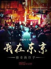 《我在东京摸金的日子》小说封面