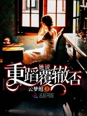 《她说重蹈覆辙否》小说封面
