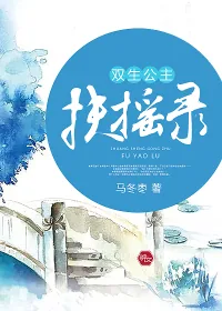 《双生公主扶摇录》小说封面