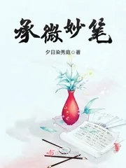 《承微妙笔》小说封面
