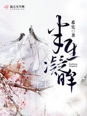 《半生凝眸》小说封面