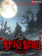 《梦境黎明》小说封面