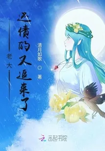 《老大还债的又追来了》小说封面