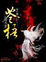 《云深不见苍梧》小说封面