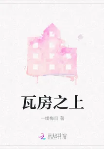 《瓦房之上》小说封面