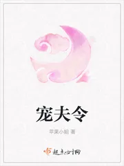 《宠夫令》小说封面