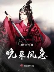 《晚来凤急》小说封面