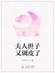 《夫人世子又调皮了》小说封面