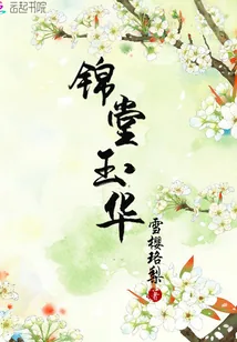 《锦堂玉华》小说封面