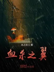 《血杀之翼》小说封面