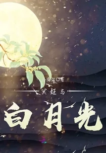 《冥姬与白月光》小说封面