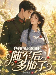 《七零恶毒后妈!随军后多胎了》小说封面